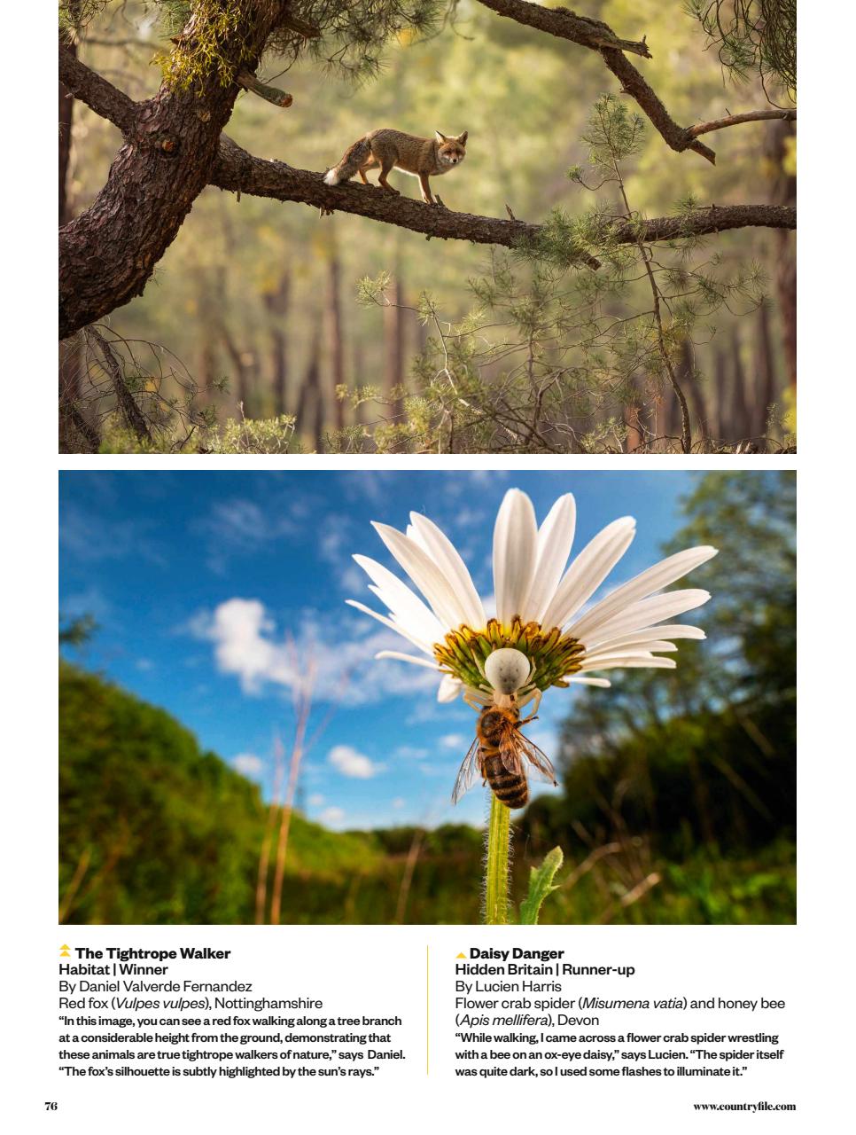 BBC Countryfile Magazine Preview Pages