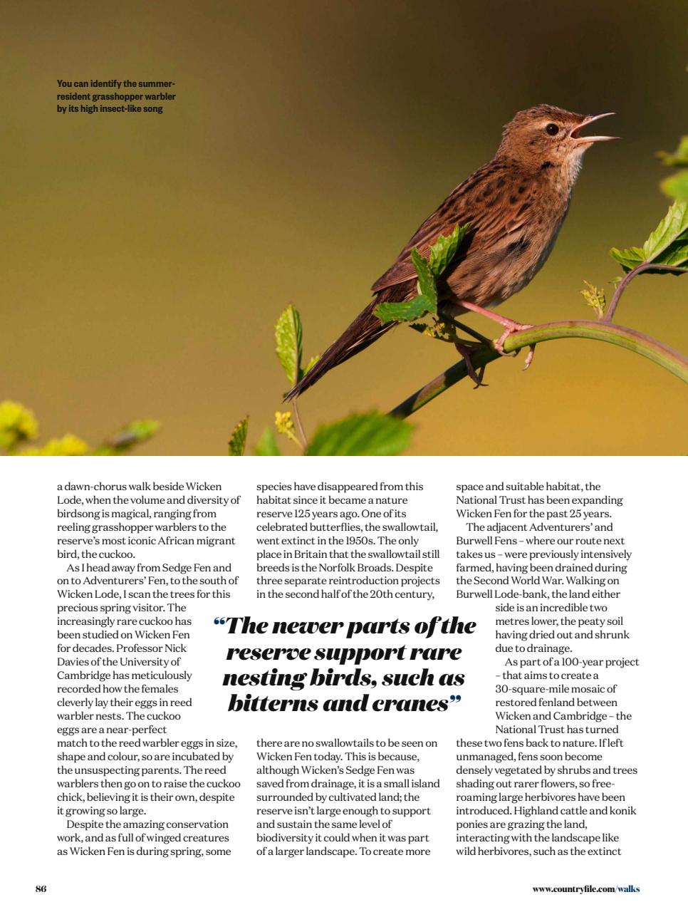 BBC Countryfile Magazine Preview Pages