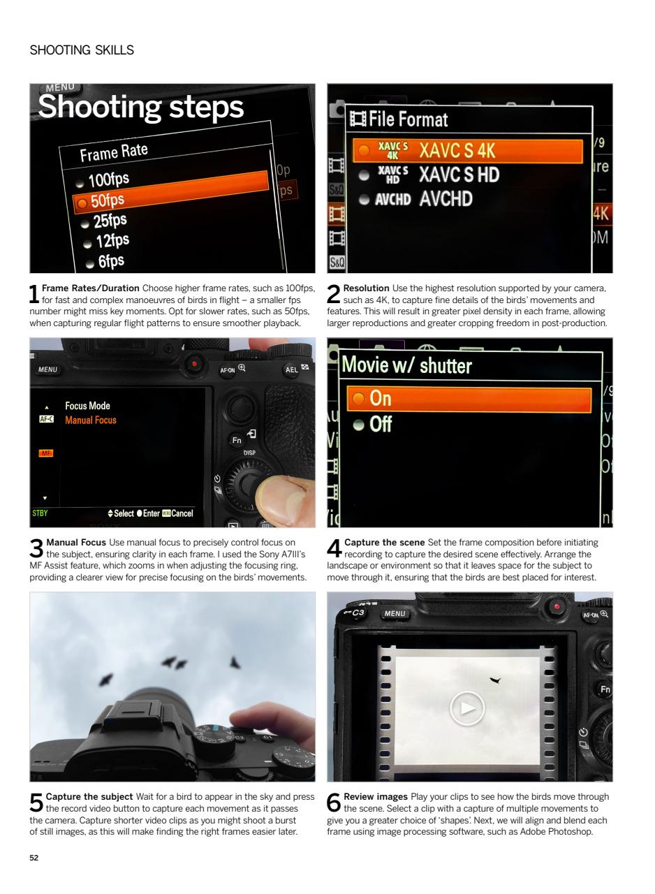 Digital Photographer Preview Pages
