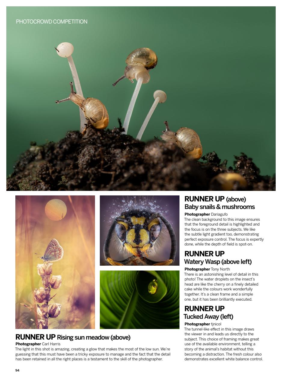 Digital Photographer Preview Pages