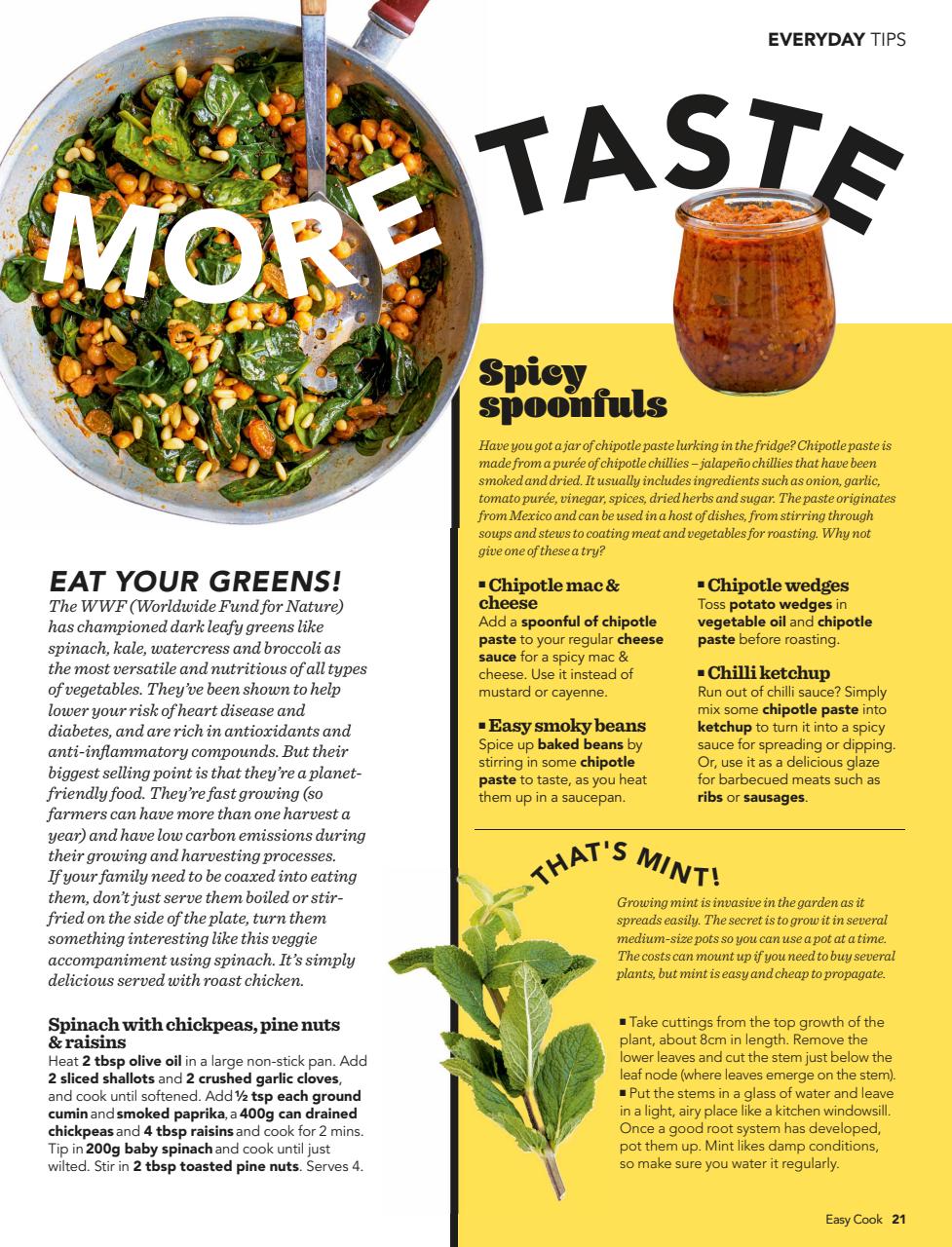 Easy Cook Magazine Preview Pages