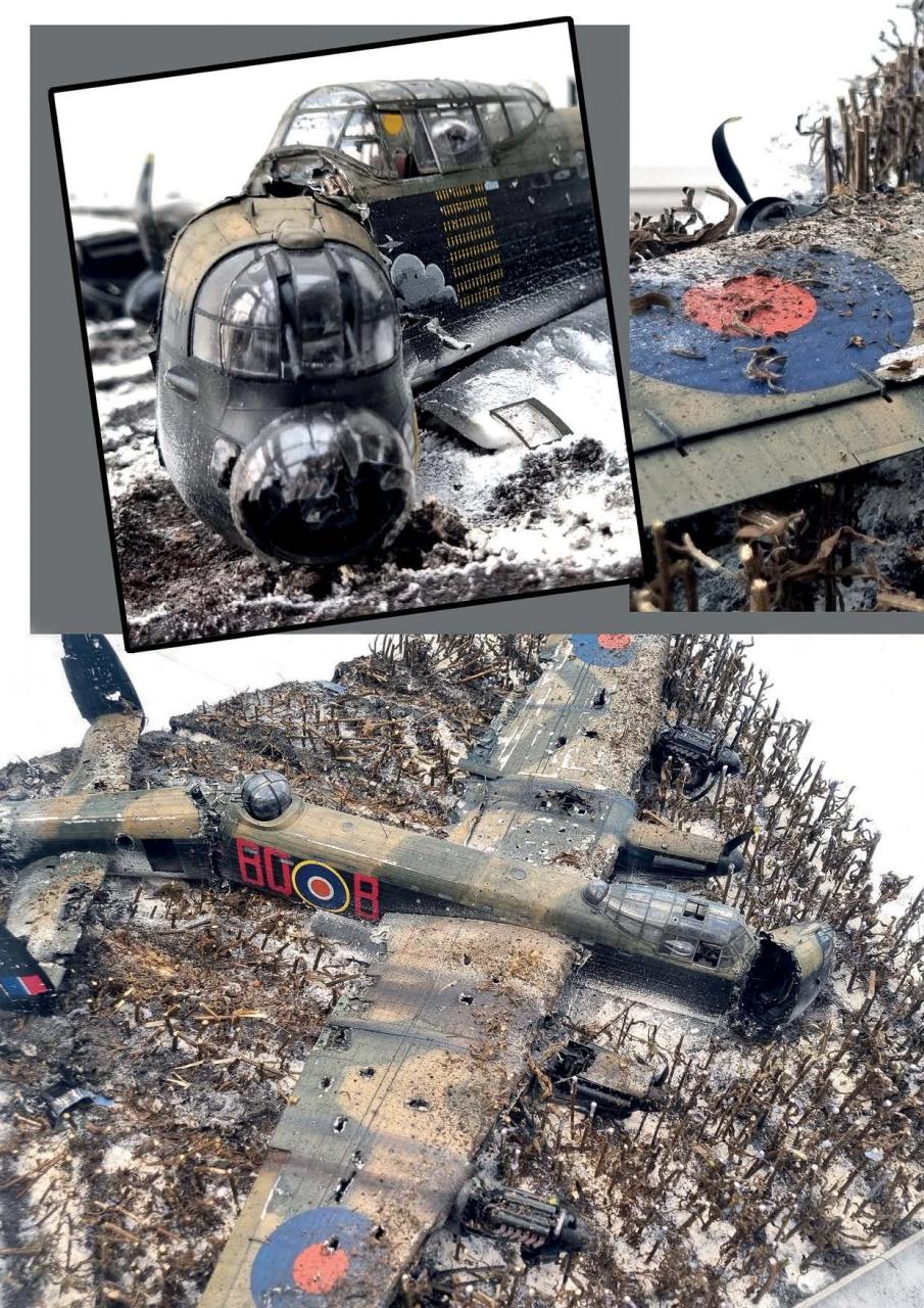 Meng AIR Modeller Preview Pages