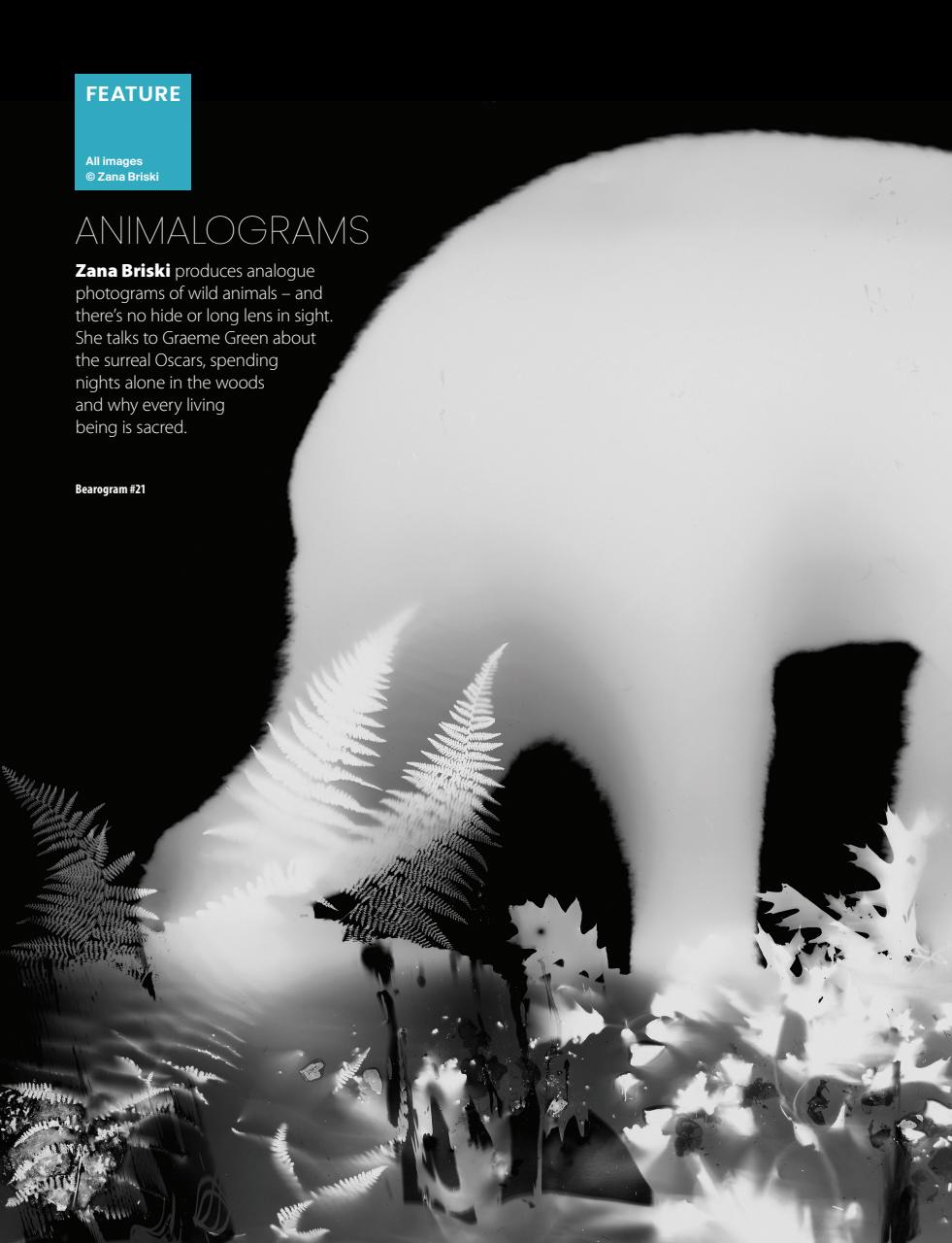 Black+White Photography Preview Pages