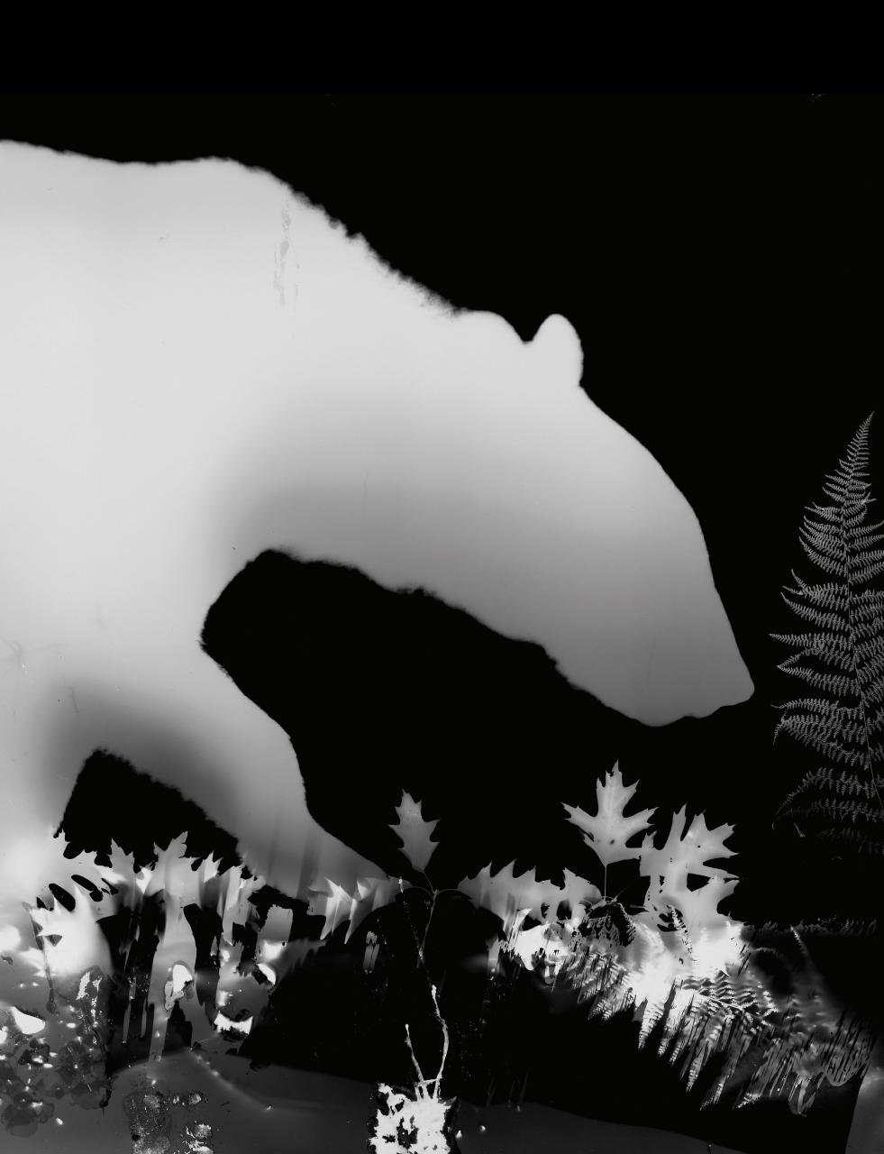 Black+White Photography Preview Pages