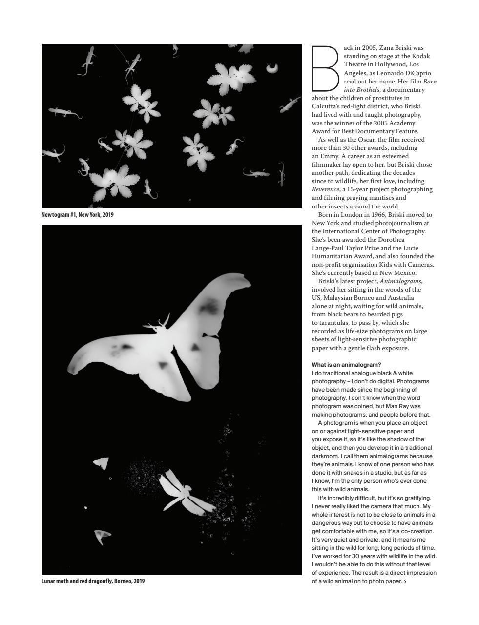 Black+White Photography Magazine - Sample Edition Special Issue