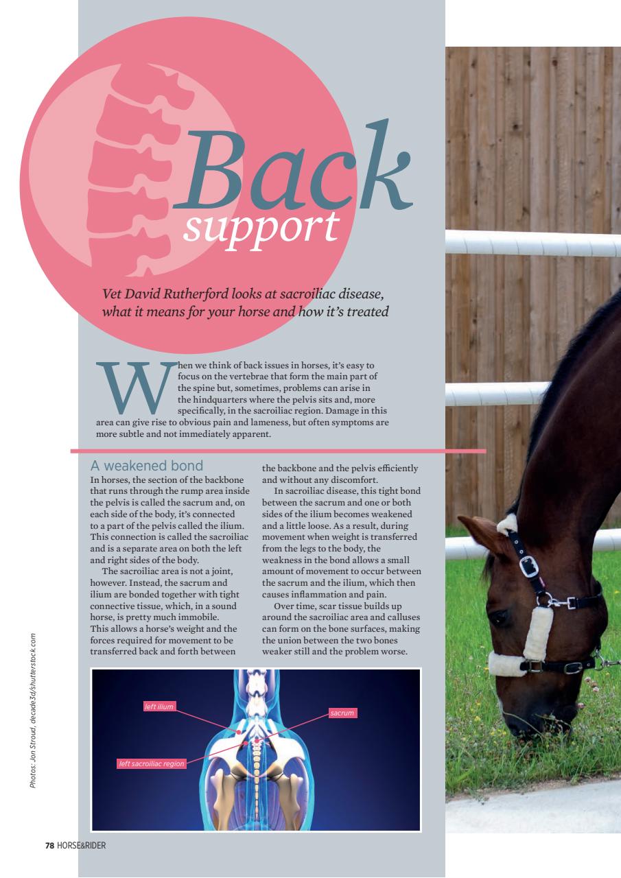 Horse&Rider Magazine - UK equestrian magazine for Horse and Rider Preview Pages