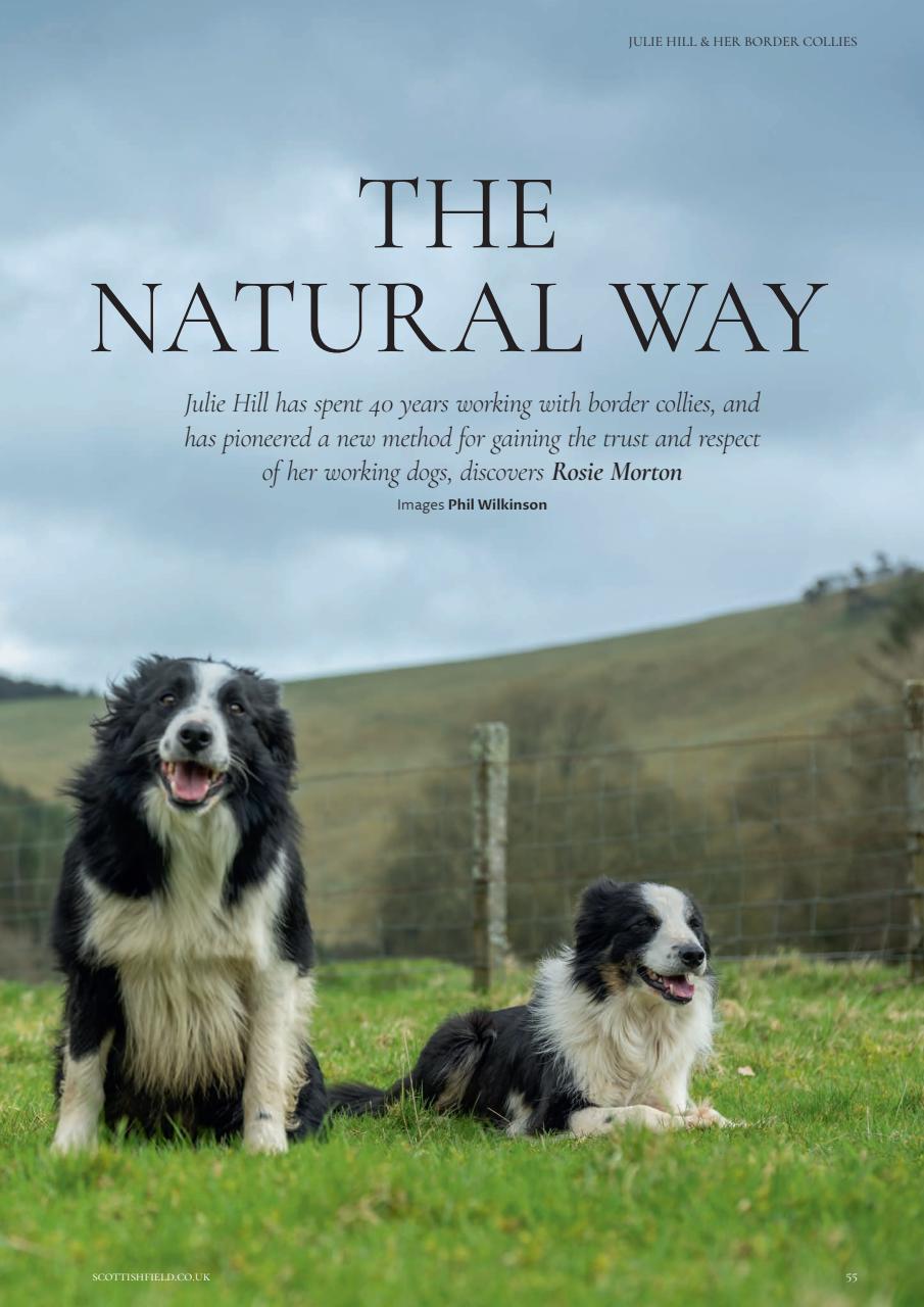 Scottish Field Preview Pages