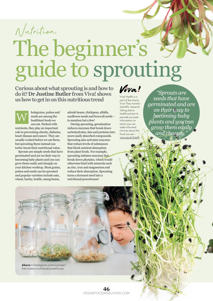 Vegan Food & Living Magazine Preview Pages