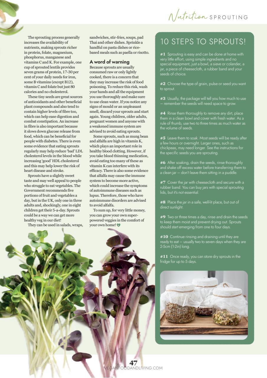 Vegan Food & Living Magazine Preview Pages