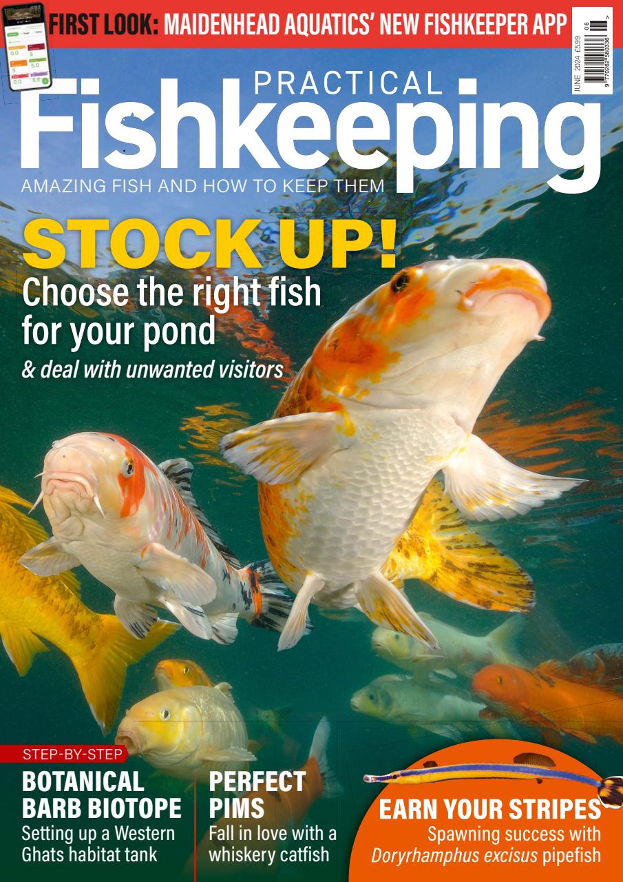 Practical Fishkeeping Preview Pages