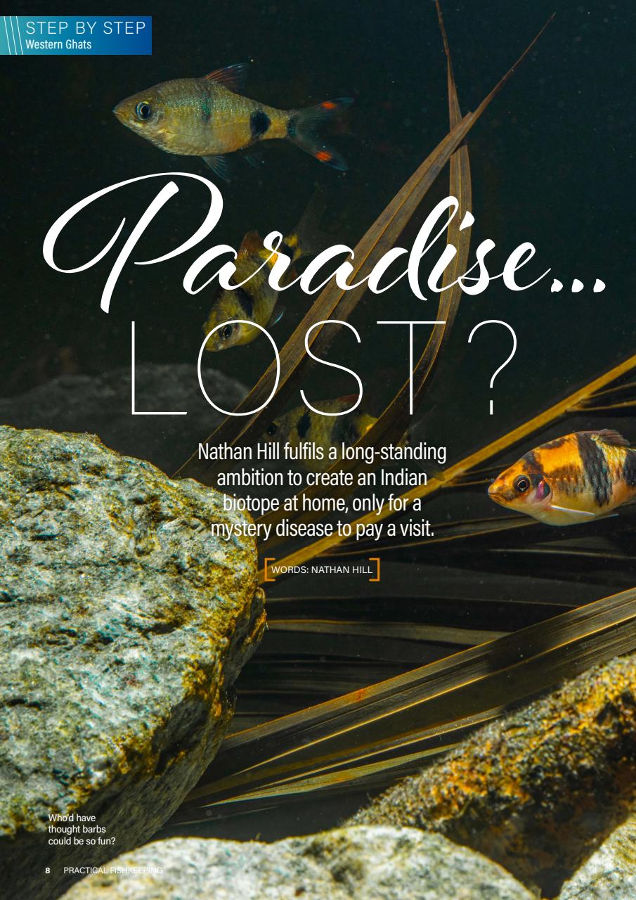 Practical Fishkeeping Preview Pages