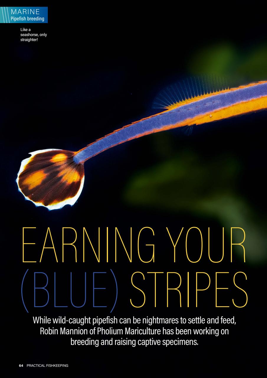 Practical Fishkeeping Preview Pages