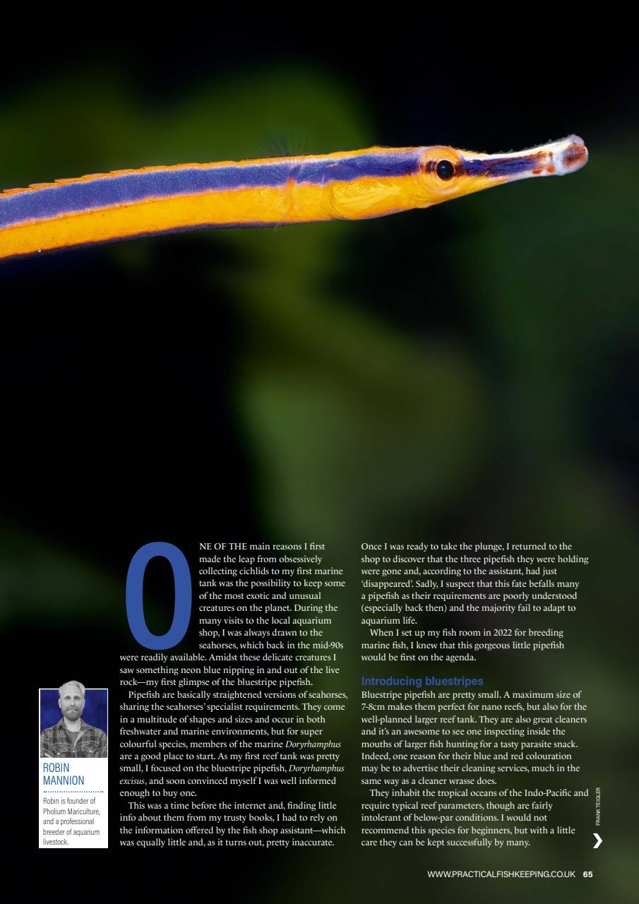 Practical Fishkeeping Preview Pages