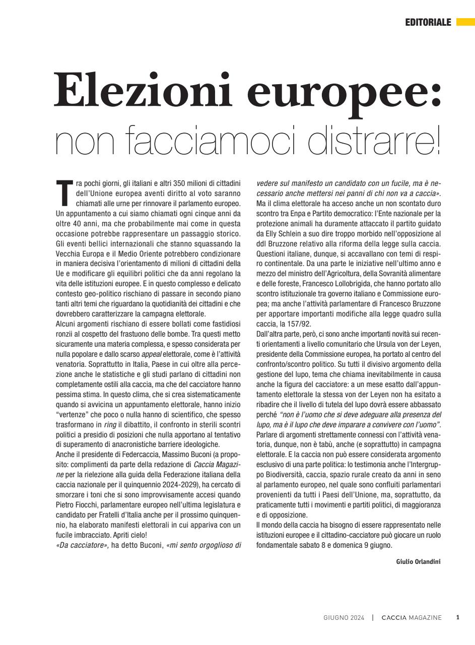 Caccia Magazine Preview Pages