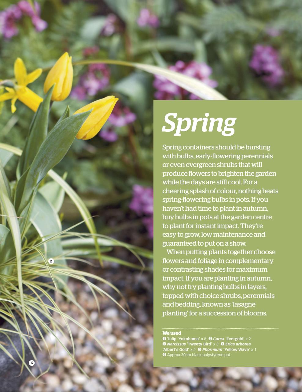 BBC Gardeners’ World Magazine Preview Pages