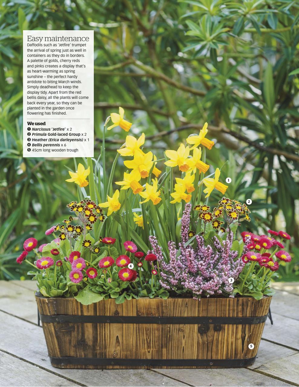 BBC Gardeners’ World Magazine Preview Pages