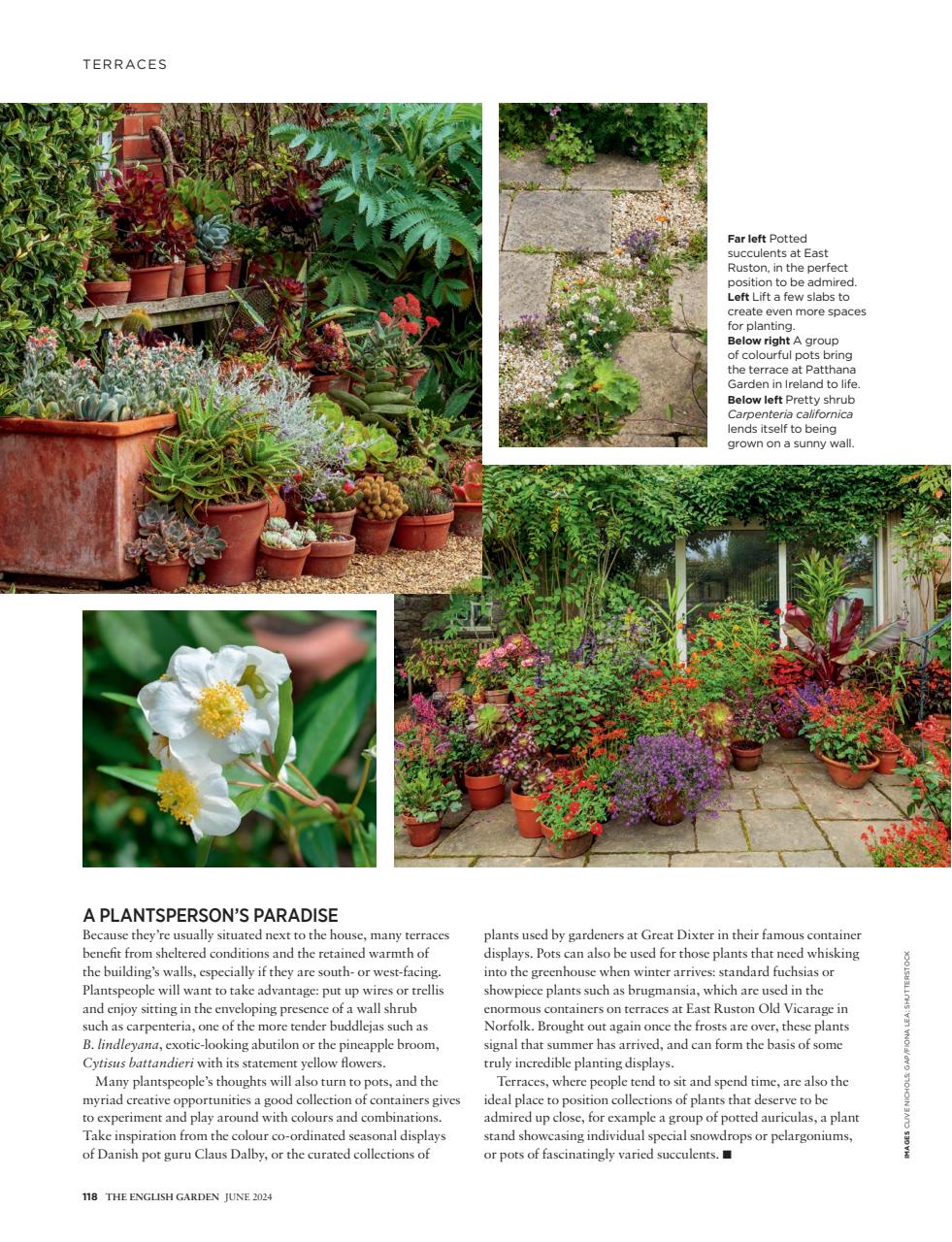 The English Garden Preview Pages