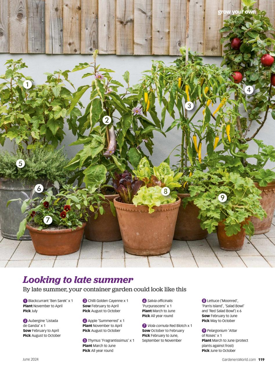 BBC Gardeners’ World Magazine Preview Pages