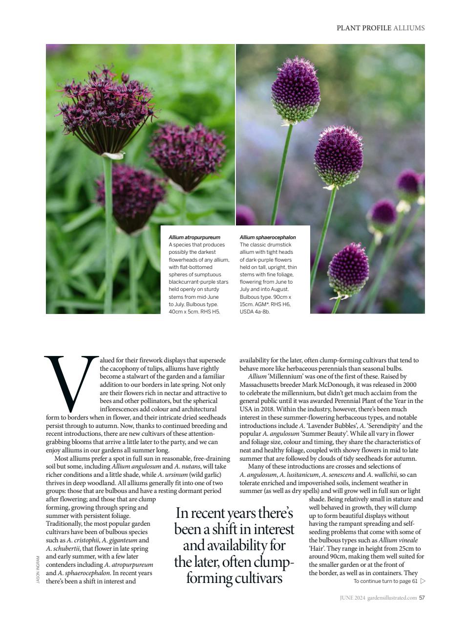 Gardens Illustrated Preview Pages