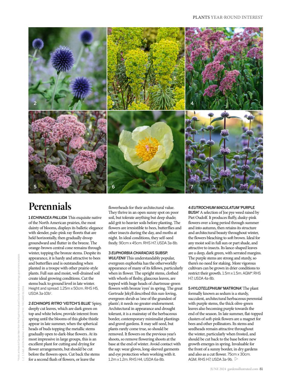 Gardens Illustrated Preview Pages