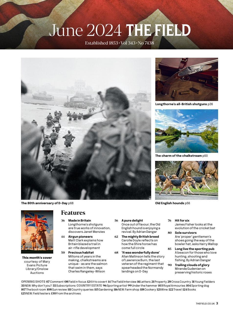 The Field Preview Pages