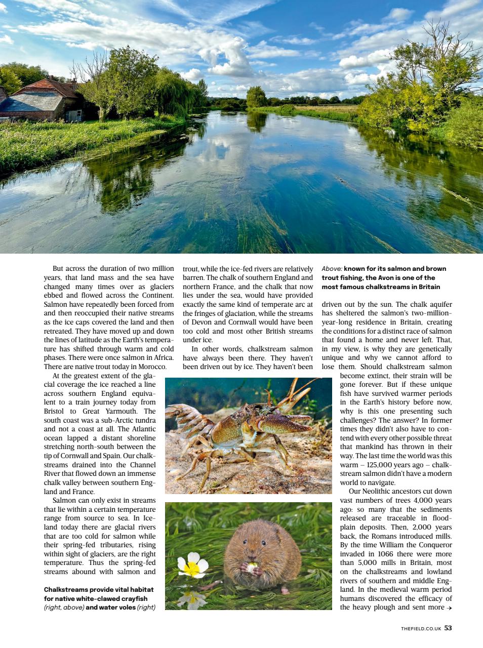 The Field Preview Pages