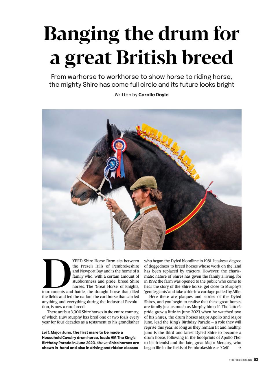 The Field Preview Pages