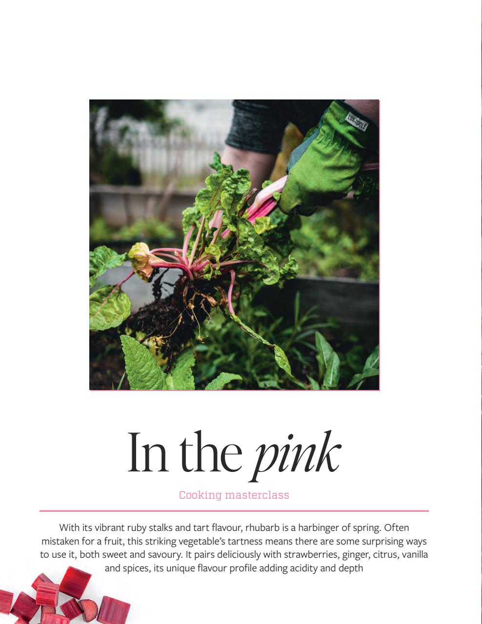 Gather Preview Pages