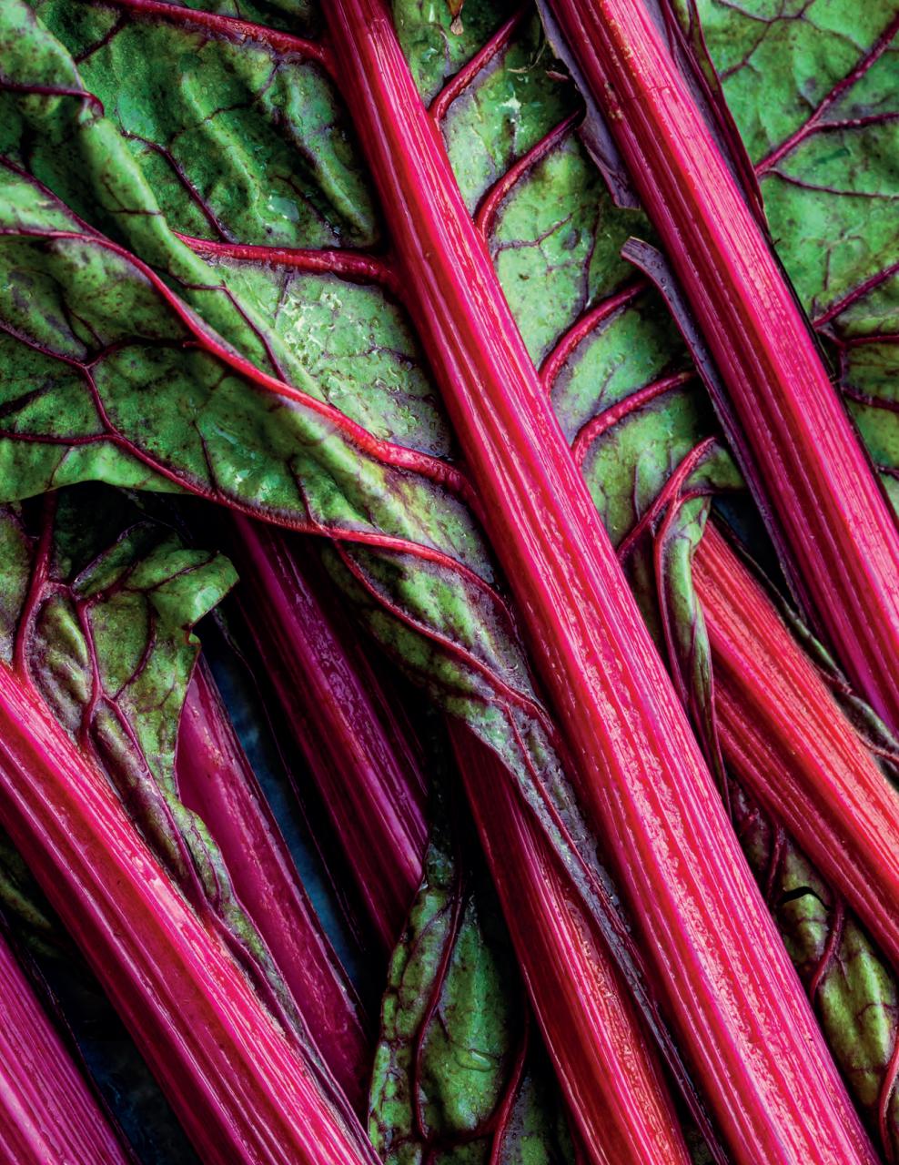 Gather Preview Pages