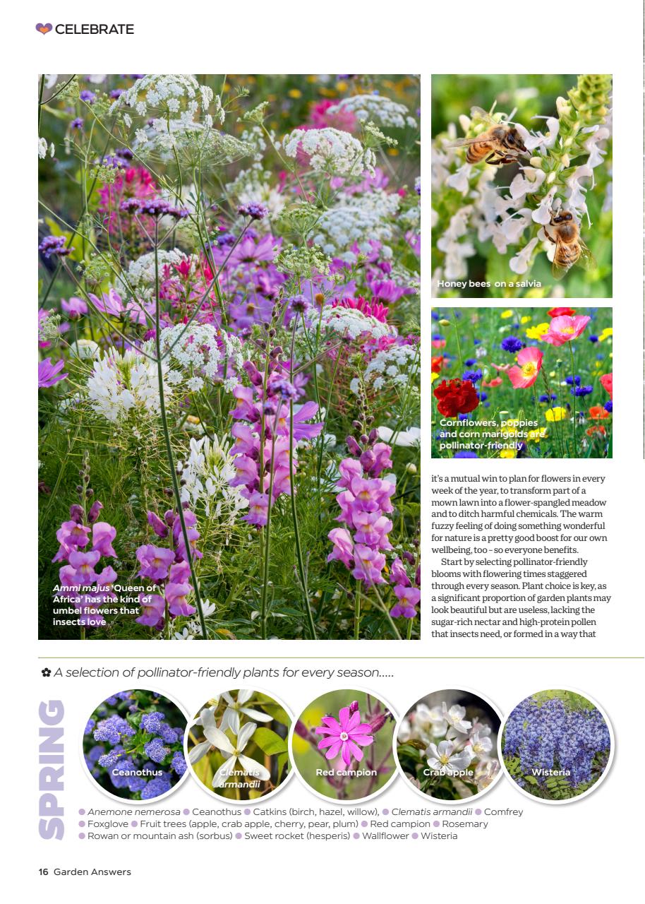 Garden Answers Preview Pages