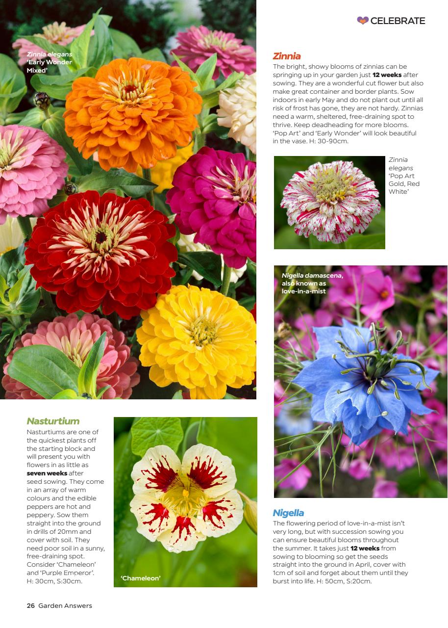 Garden Answers Preview Pages