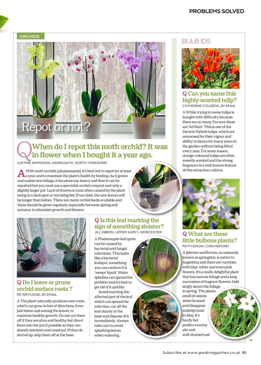 Garden Answers Preview Pages