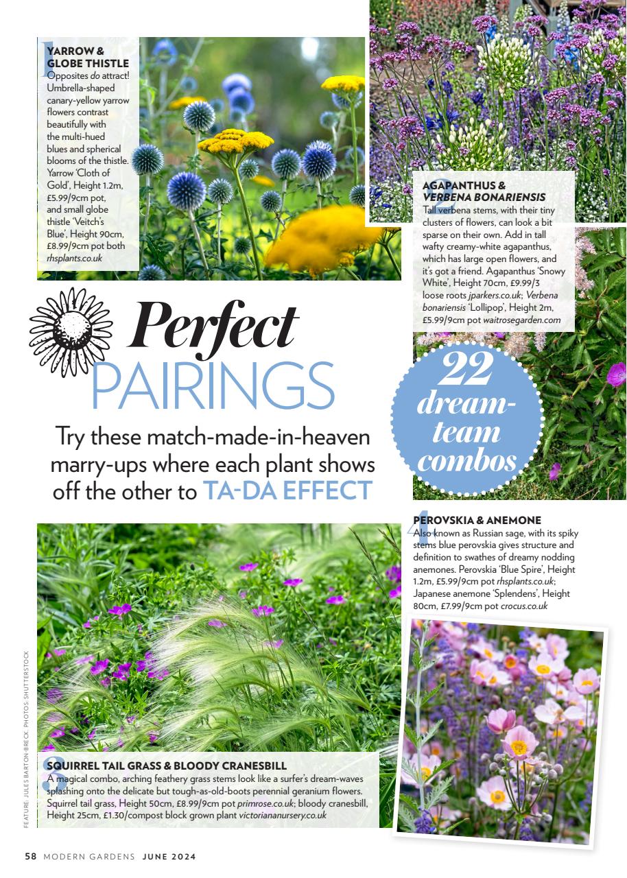 Modern Gardens Preview Pages