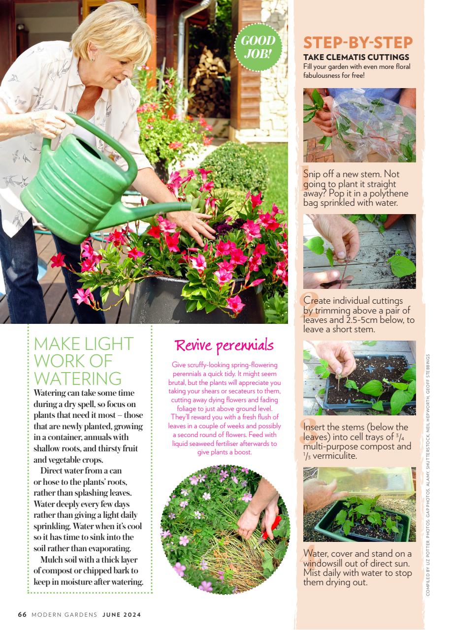 Modern Gardens Preview Pages