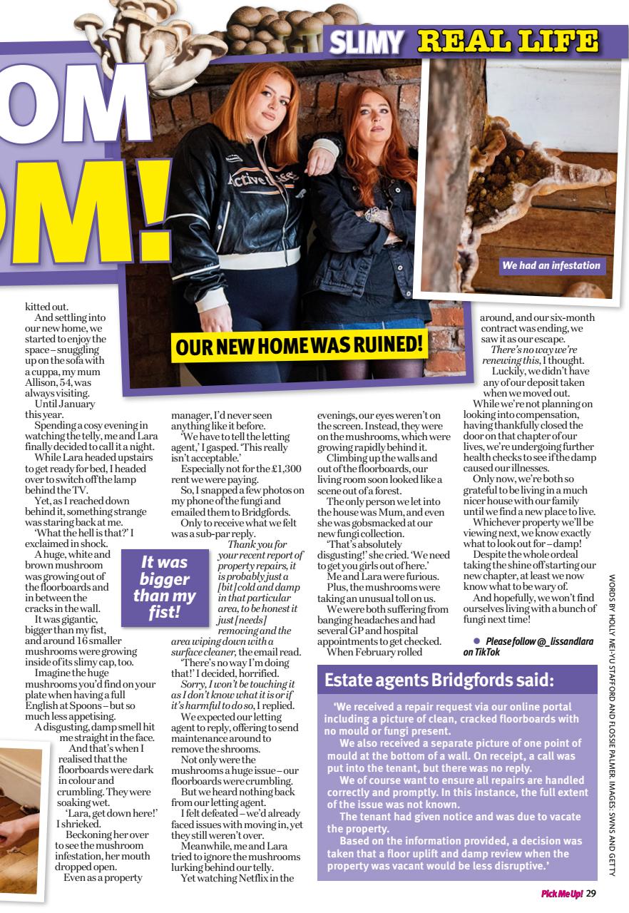 Pick Me Up Preview Pages