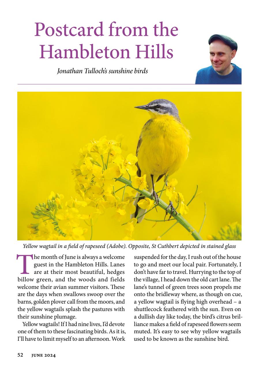 The Yorkshire Dalesman Preview Pages