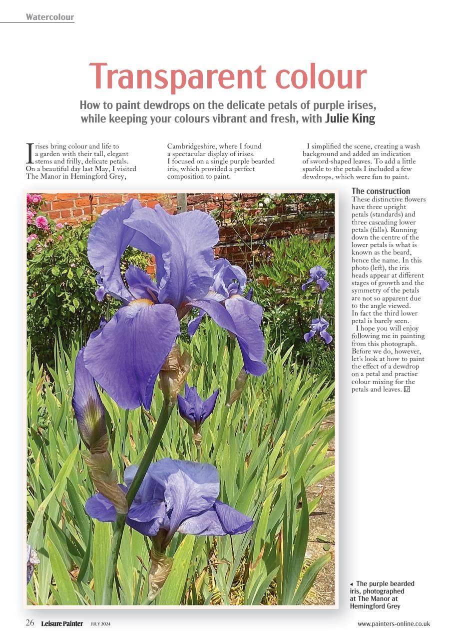 Leisure Painter & The Artist Preview Pages
