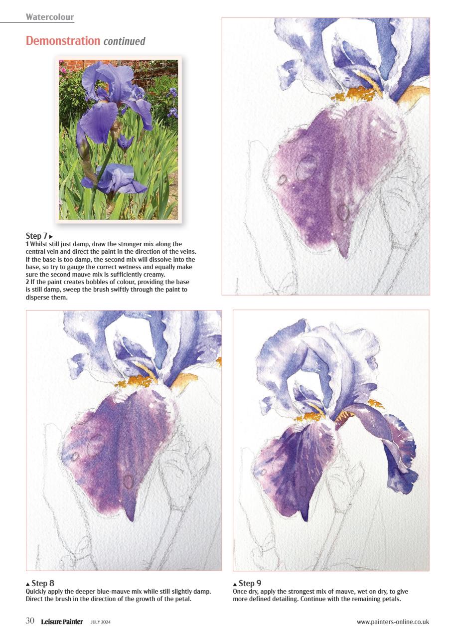 Leisure Painter & The Artist Preview Pages