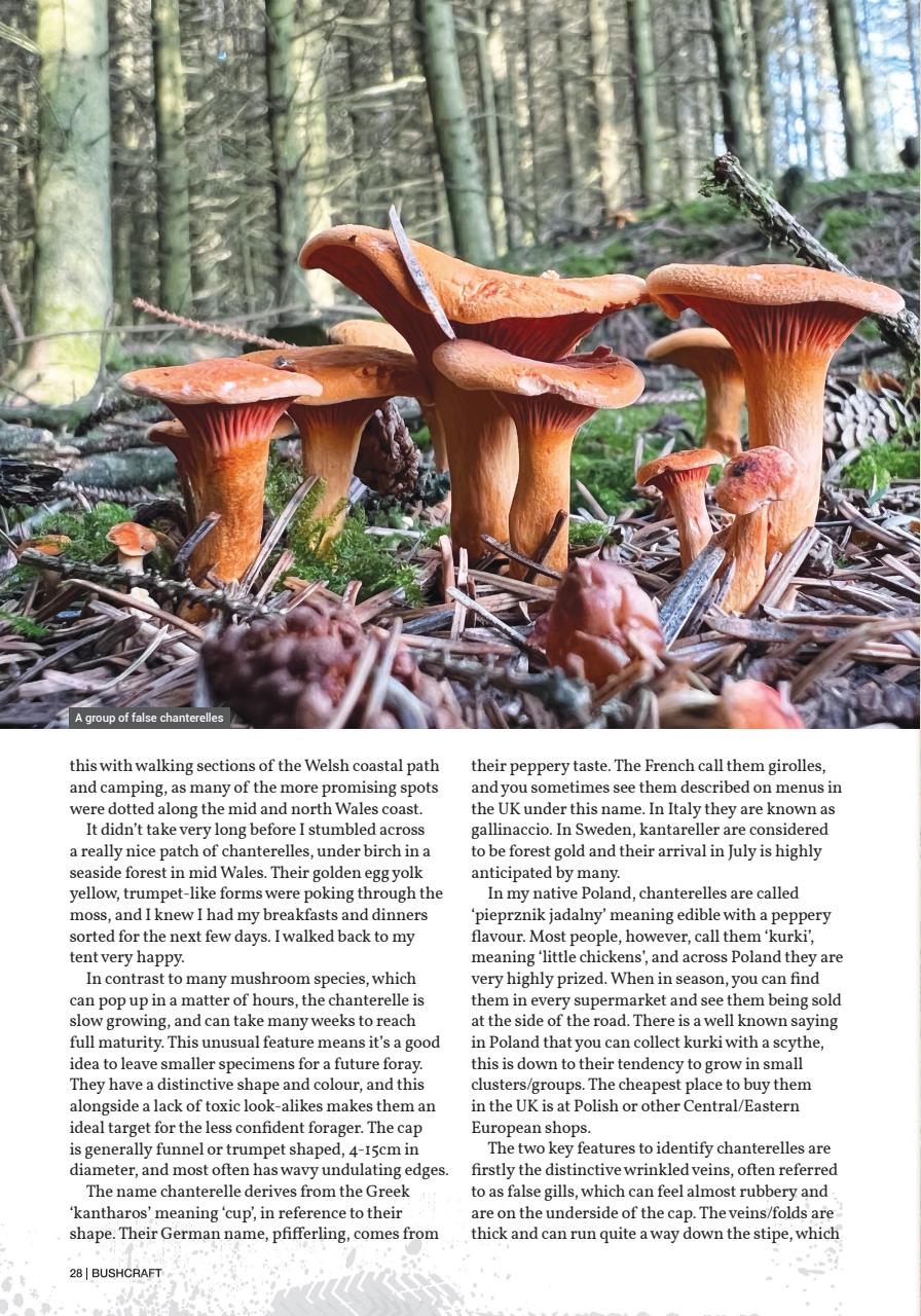 Bushcraft & Survival Skills Magazine Preview Pages