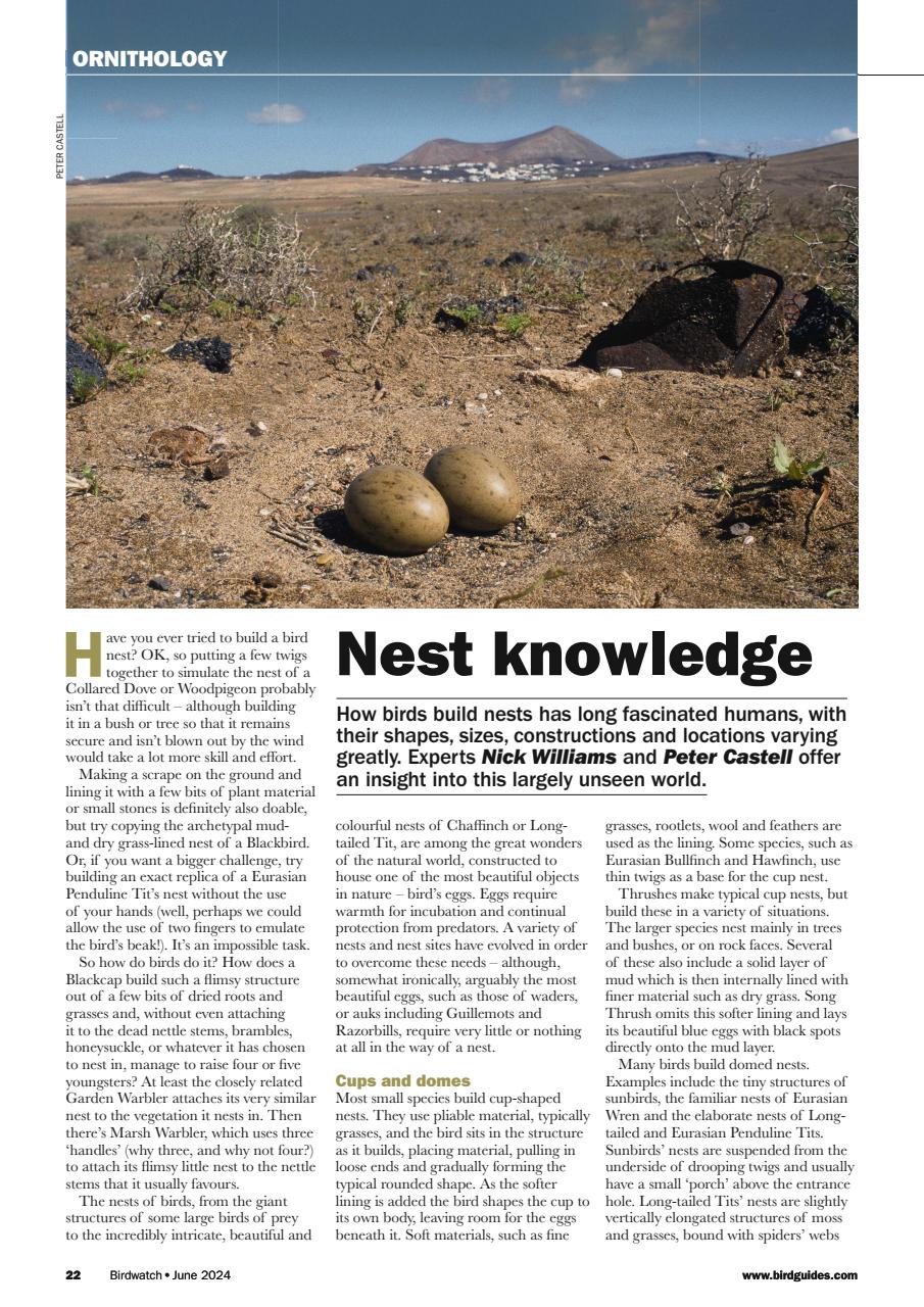 Birdwatch Magazine Preview Pages