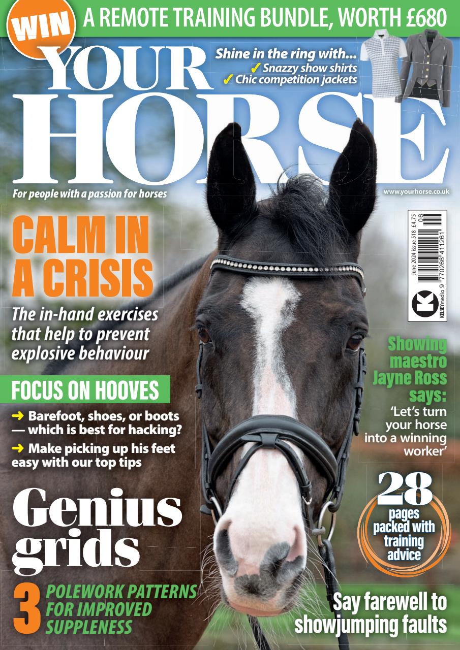 Your Horse Preview Pages