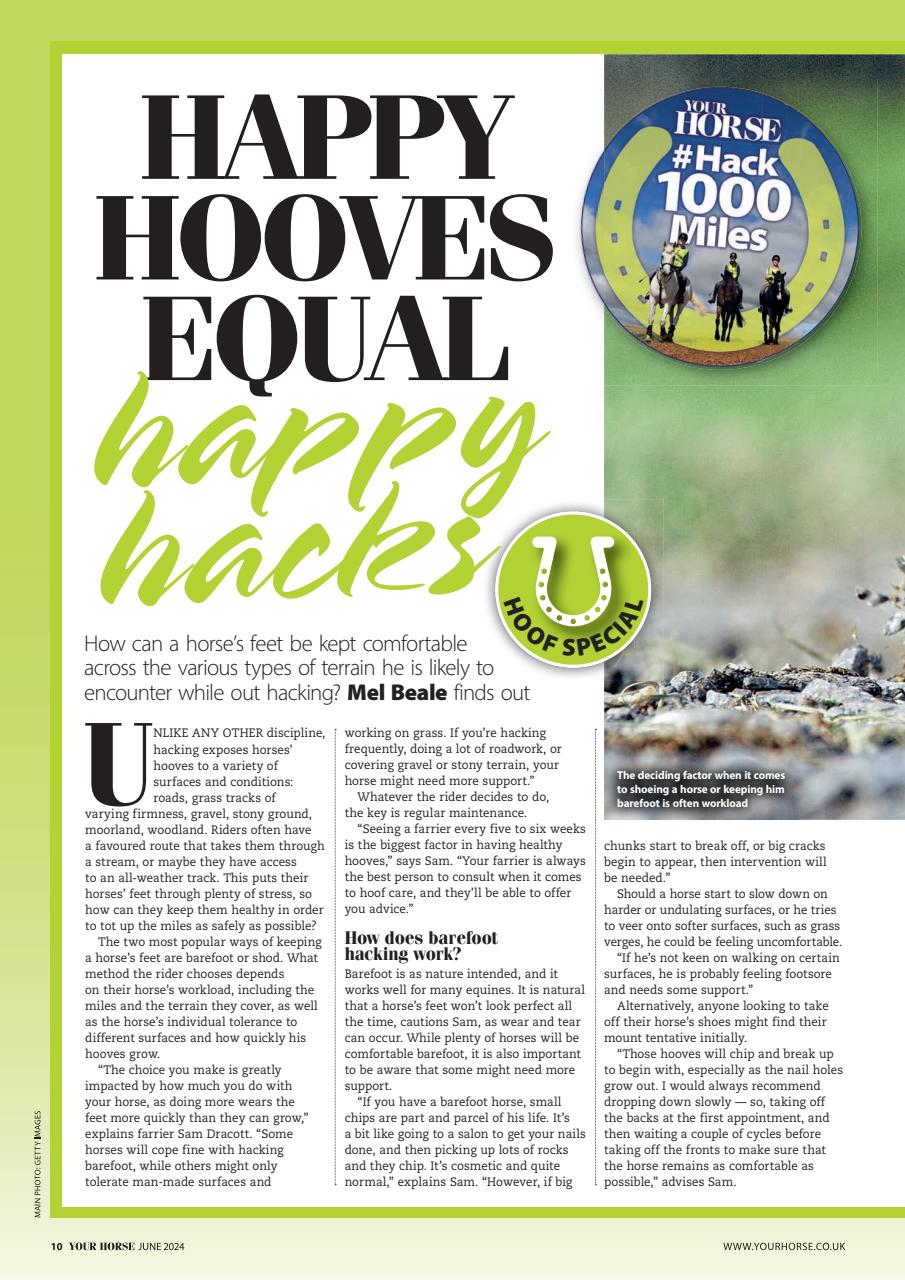 Your Horse Preview Pages