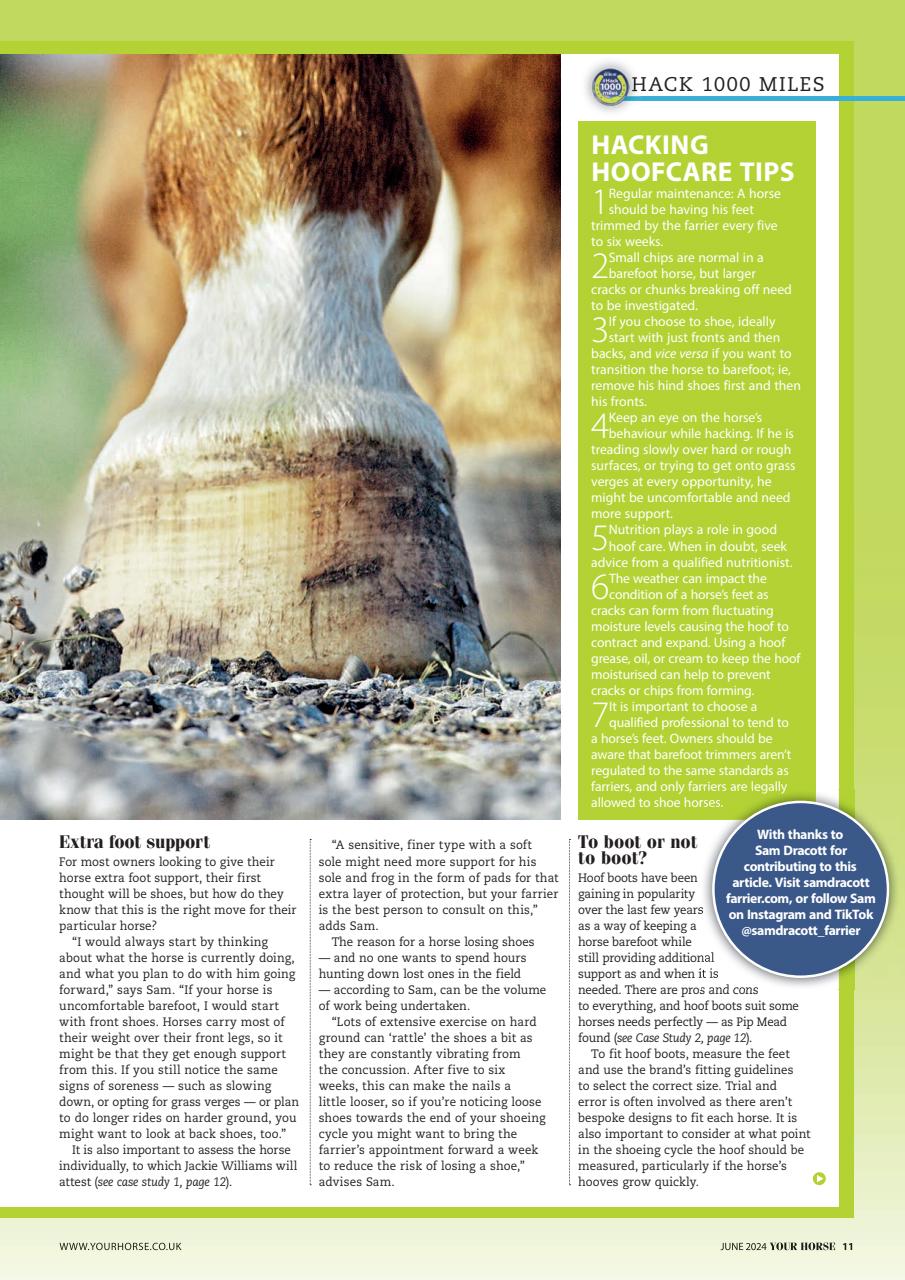 Your Horse Preview Pages