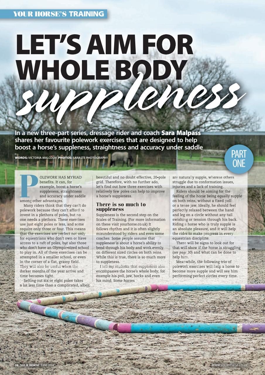 Your Horse Preview Pages