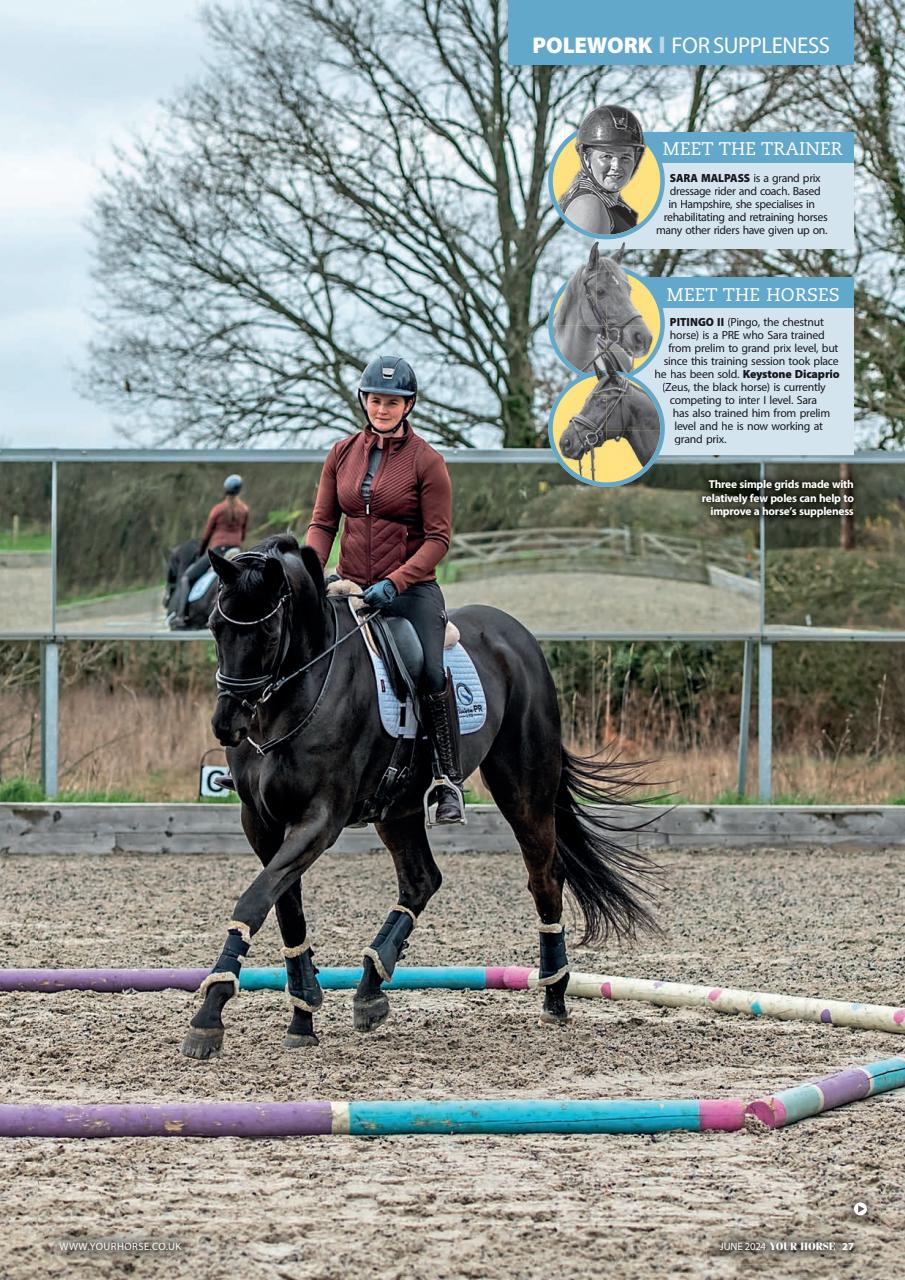 Your Horse Preview Pages