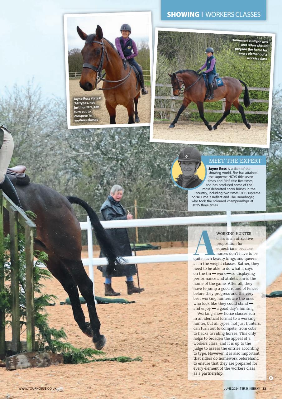 Your Horse Preview Pages