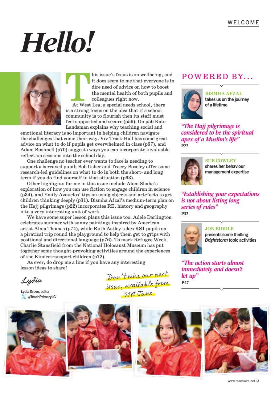 Teach Primary Preview Pages