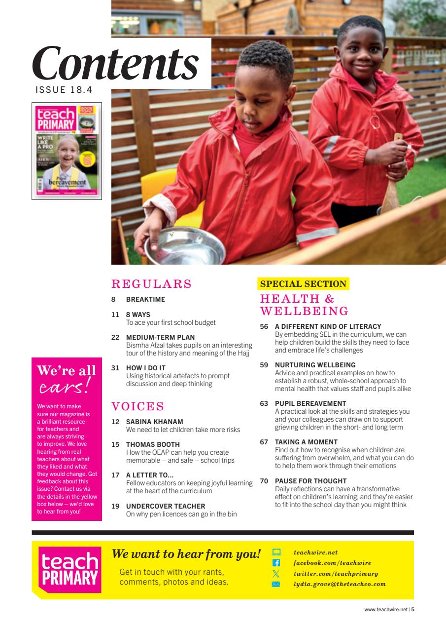 Teach Primary Preview Pages