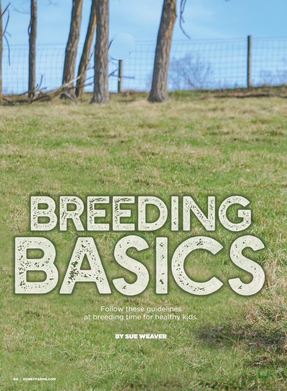 Hobby Farms Magazine Preview Pages