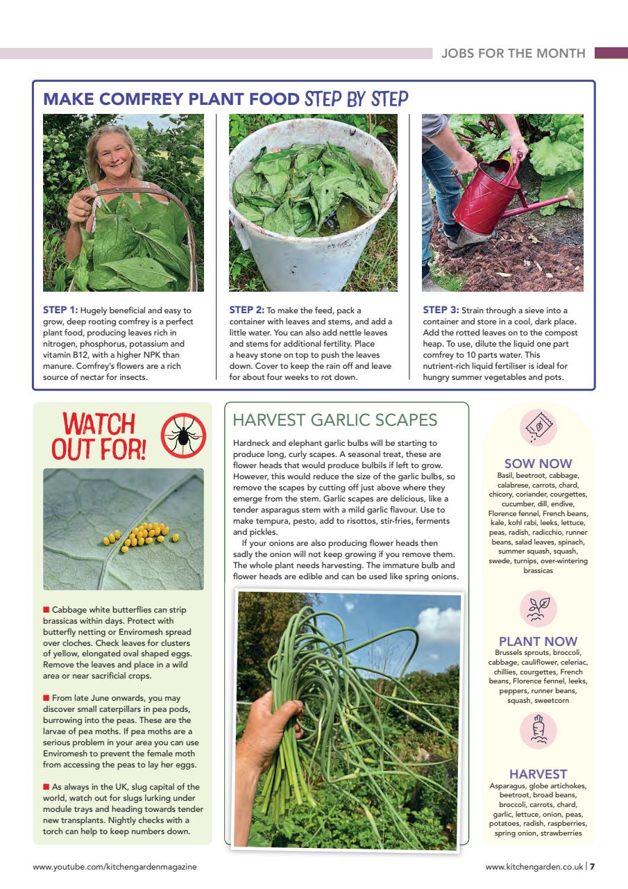 Kitchen Garden Magazine Preview Pages